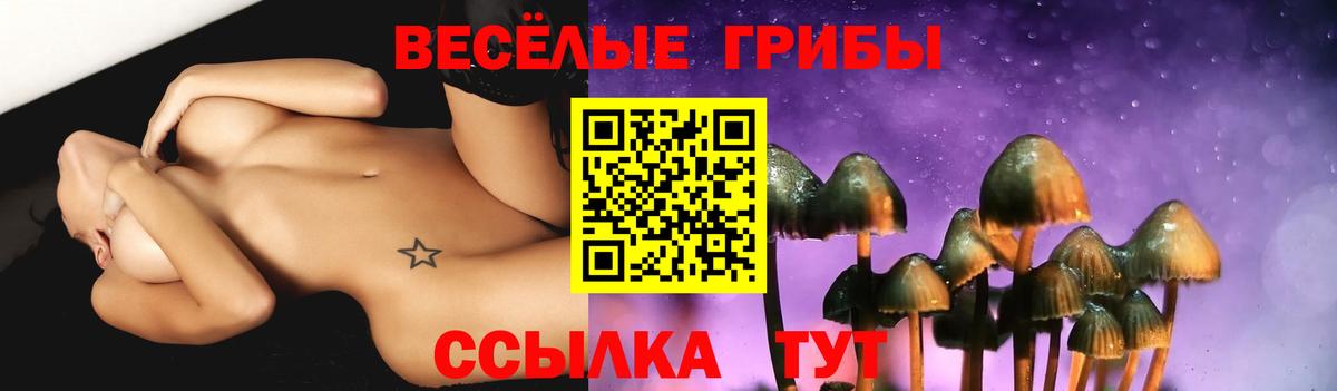 Псилоцибиновые грибы Psilocybine cubensis  Вход с VPN  наркотики  Зеленокумск 